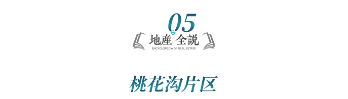 31宗优质热地集中亮相!大邑城市价值土地推介会圆满举办(图11)