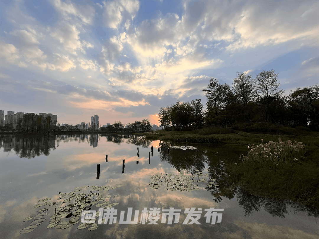 独家实探！华润置地千万级别墅板房我拍到了！(图11)