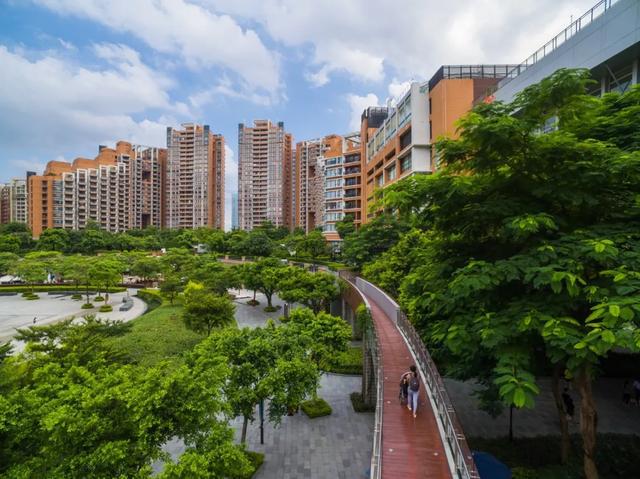 kaiyun入口：板房开放！领先20年后凯旋新世界还在苦等一个对手(图14)