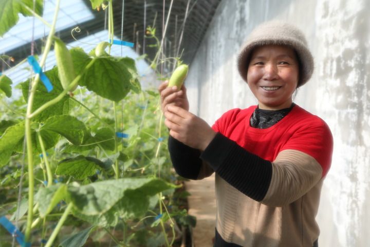 大河两岸起新家——积石山地震灾区回访见闻-新华网(图12)