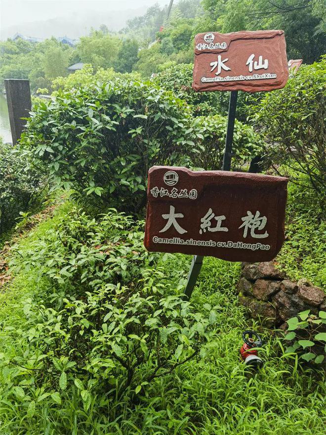 专家观点｜武夷山旅游格局重整与升级破圈(图2)