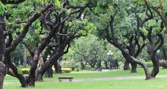 “楼市黑马”观山海家园首页网站售楼处观山海家园楼盘(图9)
