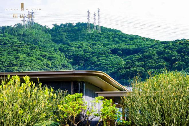 “楼市黑马”观山海家园首页网站售楼处观山海家园楼盘(图10)