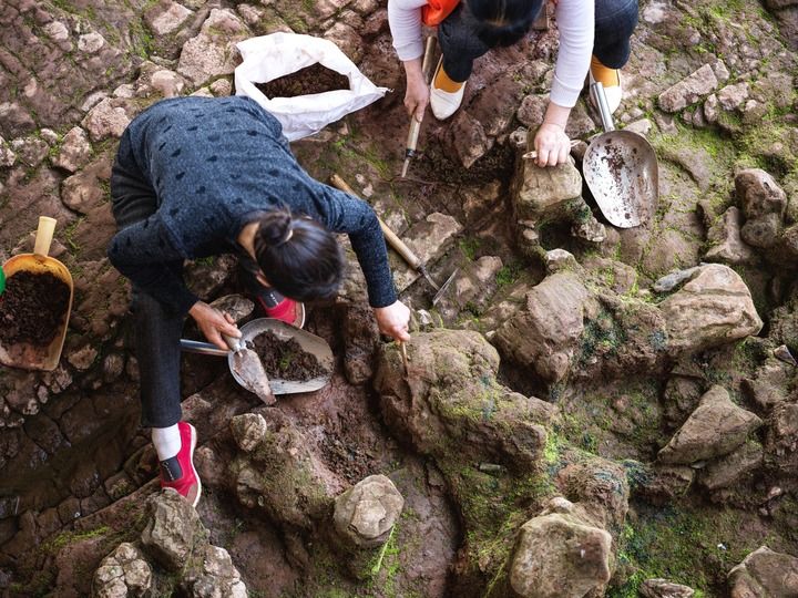 kaiyun入口：文明探源丨在濛溪河遗址触碰数万年前的远古世界(图4)