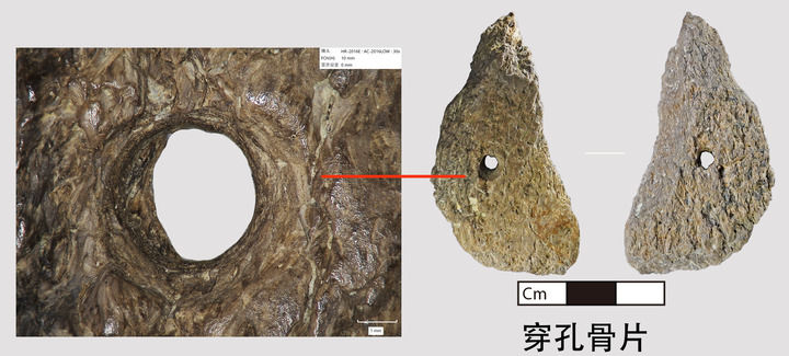 kaiyun入口：文明探源丨在濛溪河遗址触碰数万年前的远古世界(图10)