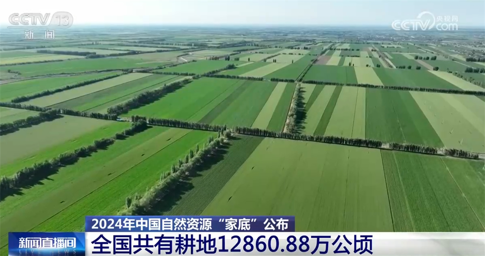 基础稳、韧性强、潜力大多维数据梳理2024年中国自然资源“家底”(图1)