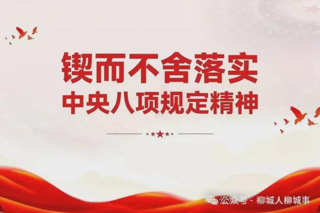 kaiyun入口：比学赶超真抓实干丨柳城：工业向新而行产业聚势跃迁(图6)