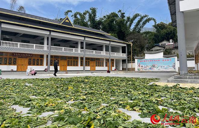 共绘乡村振兴新画卷(图2)
