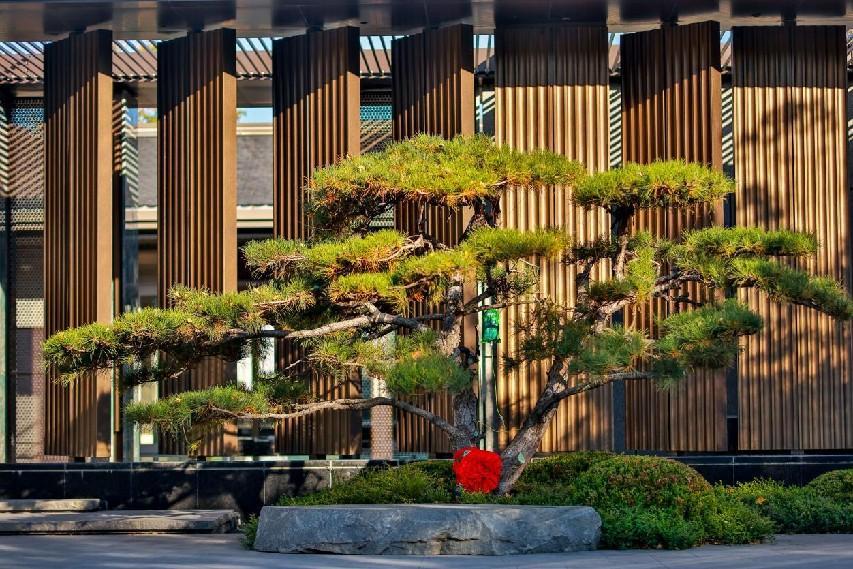 越秀北京香山樾：被称为热销顶流红盘这个豪宅当之无愧(图8)