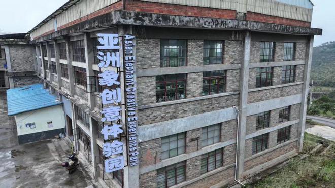 好雨知时节——云南省高质高效使用衔接资金推进乡村振兴见闻录(图6)