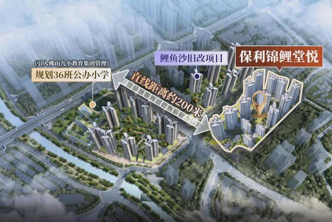 kaiyun入口：首日登记已破百！禅桂芯“超配”产品总价150万起！(图11)
