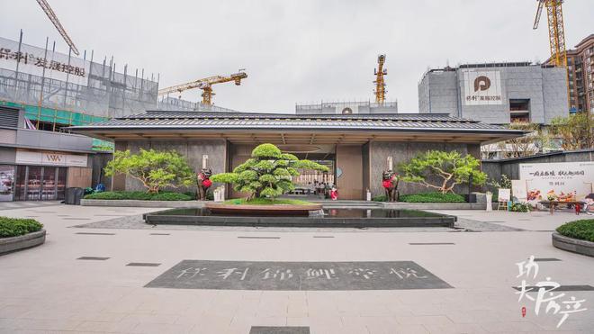 kaiyun入口：首日登记已破百！禅桂芯“超配”产品总价150万起！(图15)