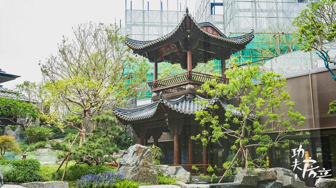 kaiyun入口：首日登记已破百！禅桂芯“超配”产品总价150万起！(图21)