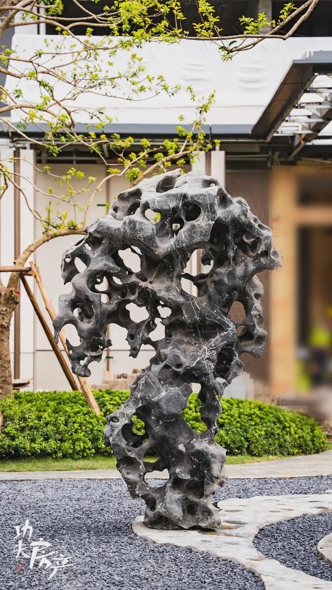 kaiyun入口：首日登记已破百！禅桂芯“超配”产品总价150万起！(图22)