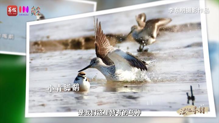 kaiyun网站：“县”在起笔青绿绘江山翩翩“湿”意守住飞鸟的远方(图4)