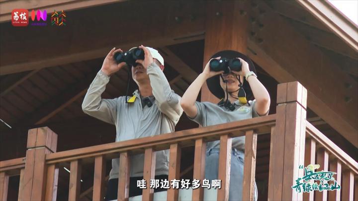 kaiyun网站：“县”在起笔青绿绘江山翩翩“湿”意守住飞鸟的远方(图6)