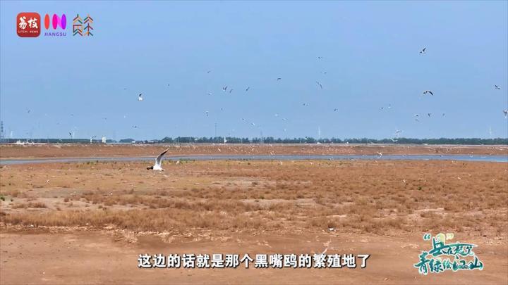 kaiyun网站：“县”在起笔青绿绘江山翩翩“湿”意守住飞鸟的远方(图8)