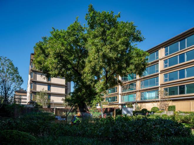 火热中！@西山云庐售楼处发布：西山云庐稀缺席位恭候莅临(图1)