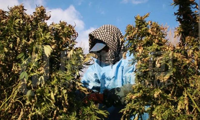 kaiyun网站：全球最穷总统：睡破烂板房自己种菜养鸡守卫是2名警察1条狗(图13)