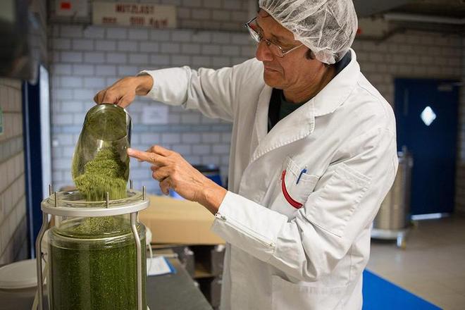 kaiyun网站：全球最穷总统：睡破烂板房自己种菜养鸡守卫是2名警察1条狗(图14)