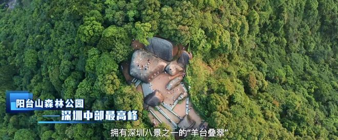 最新优惠丨星河星悦云邸售楼处：限购解除火爆热销中！(图7)