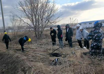 kaiyun入口：海风中淬炼的数字铁军记山东移动驻烟台裕龙岛项目攻坚团队