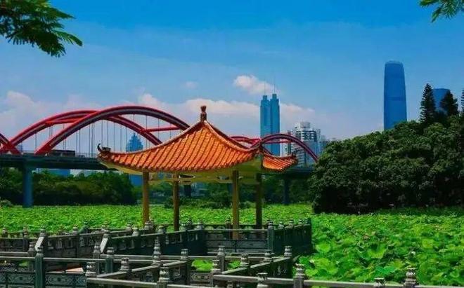 五星好房✨仁恒深之源售楼处电线年末超级特价(图12)