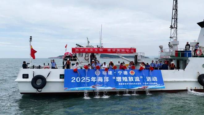 山海为证民心所向——习近平法治思想引领下的闽地新貌探访(图7)