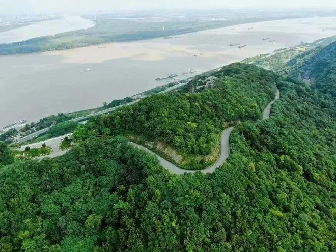 南京楼市聚焦能建长江悦府售楼处发布@能建长江悦府认证(图14)