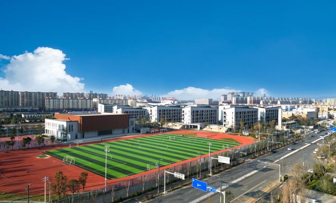 龙湖·青雲赋提前1月圆满交付以卓越兑现力重塑昆明书包房标杆(图17)