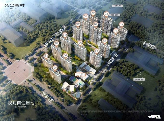 新站区光合森林【合肥2026在售楼盘-楼盘详情-售楼中心】(图2)