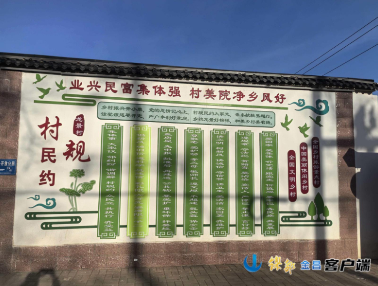 kaiyun入口：文明之花绽乡野——金川区宁远堡镇龙景村荣获“全国文明村镇”纪实(图4)