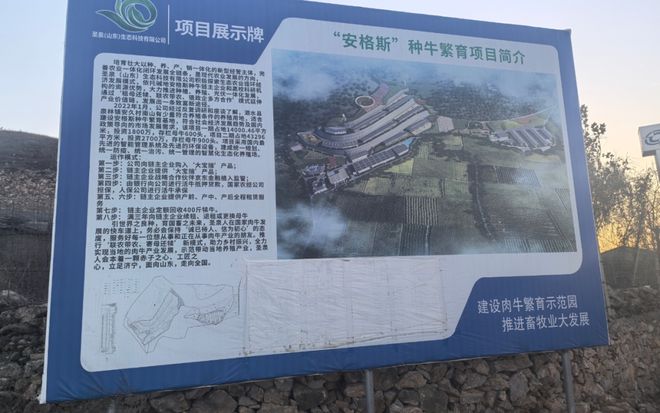 kaiyun：养牛场的秘密：两年多未见一头牛每天盗采数十车矿石倒卖(图2)