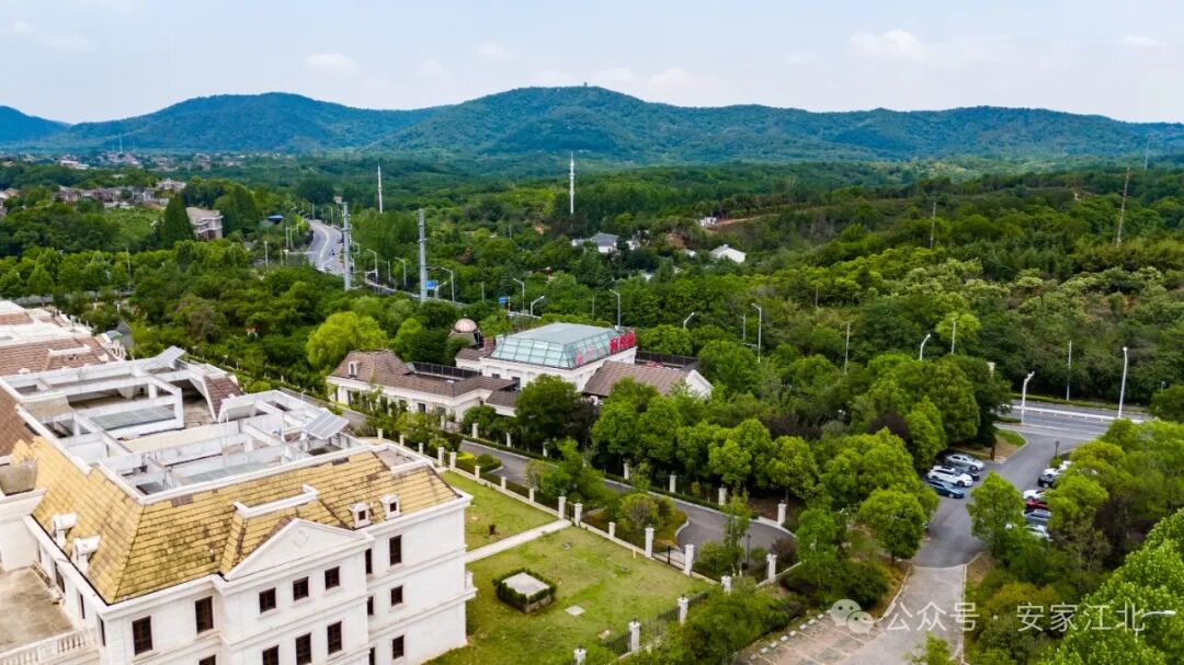 kaiyun网站：风向突变！富豪们正扎堆杀回楼市南京别墅突然发力(图4)