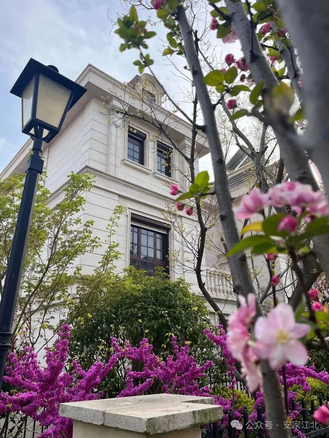 kaiyun网站：风向突变！富豪们正扎堆杀回楼市南京别墅突然发力(图8)