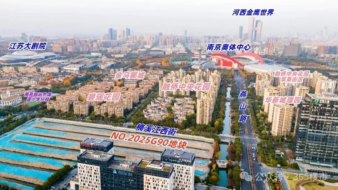 产品前所未见！刚刚南京地王规划揭晓：审美直接封神(图5)